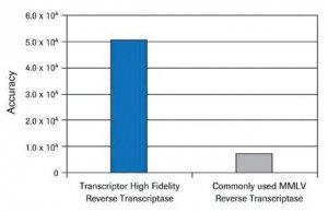 Transcriptor High Fidelity cDNA Synthesis Kit 