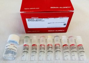 SEQPLEX-I WTA Kit 