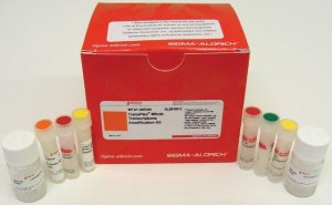 TransPlex Whole Transcriptome Amplification Kit 
