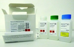 Agarose Gel DNA Extraction Kit 11696505001