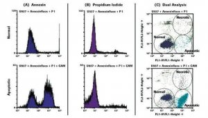 Annexin-V-FLUOS Staining Kit 