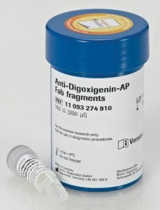 Anti-Digoxigenin-AP, Fab fragments 11093274910