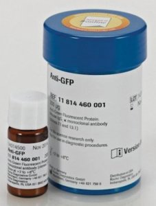 Anti-GFP 11814460001