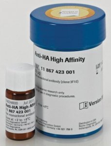 Anti-HA High Affinity 