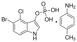 BCIP 