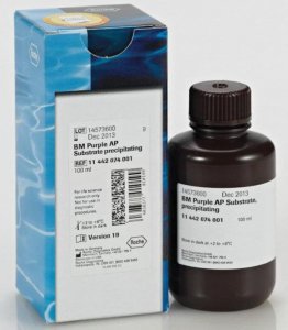BM-Purple 11442074001