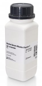 Bovine Serum Albumin Fraction V 