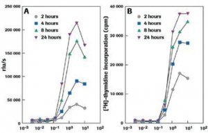 Cell Proliferation ELISA, BrdU (chemiluminescent) 11669915001