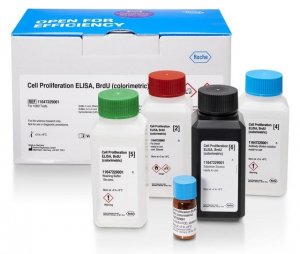 Cell Proliferation ELISA, BrdU (colorimetric) 11647229001