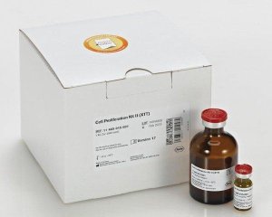 Cell Proliferation Kit II (XTT) 11465015001