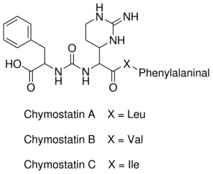 Chymostatin 11004638001