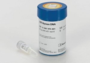 COT Human DNA 11581074001