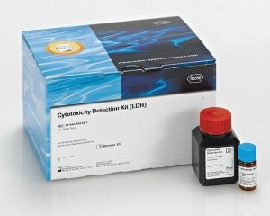 Cytotoxicity Detection KitPLUS (LDH) 