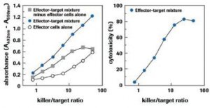 Cytotoxicity Detection KitPLUS (LDH) 