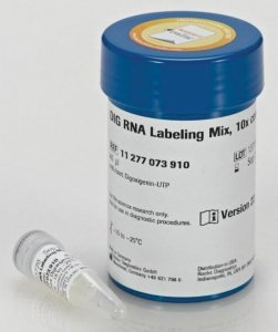DIG RNA Labeling Mix 11277073910