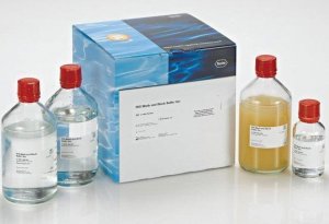 DIG Wash and Block Buffer Set 11585762001