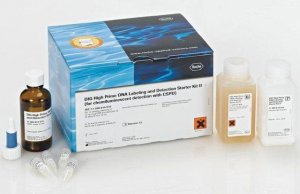 DIG-High Prime DNA Labeling and Detection Starter Kit II 11585614910