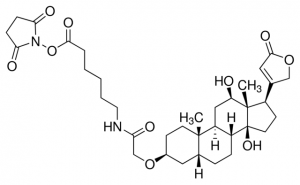 Digoxigenin-3-O-methylcarbonyl--aminocaproic acid-N-hydroxysuccinimide ester 
