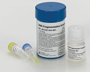 DNA Fragmentation Imaging Kit 6432344001