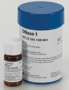 DNase I 10104159001