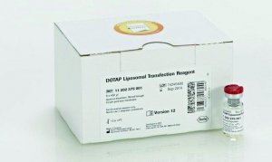 DOTAP Liposomal Transfection Reagent 11202375001
