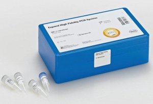 Expand High Fidelity PCR System 