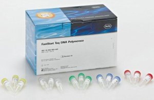 FastStart Taq DNA Polymerase, 5 U/l 