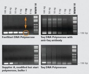 FastStart Taq DNA Polymerase, 5 U/l 