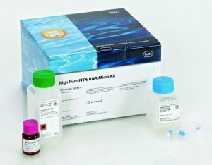 High Pure FFPE RNA Micro Kit 4823125001