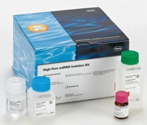 High Pure miRNA Isolation Kit 5080576001