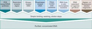 High Pure PCR Product Purification Kit 