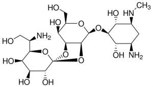 Hygromycin B 10843555001