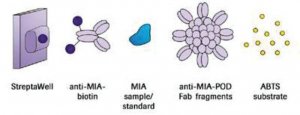 MIA ELISA 11976826001