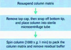 mini Quick Spin DNA Columns 11814419001