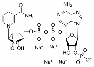 NADPH 
