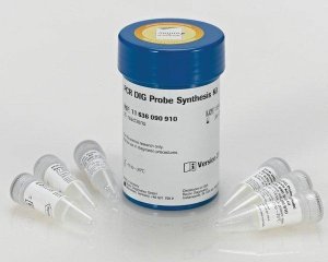 PCR DIG Probe Synthesis Kit 11636090910