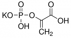 Phosphoenol-pyruvate 10108294001
