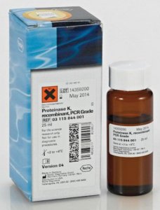 Proteinase K, recombinant, PCR Grade 