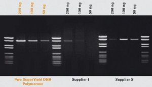Pwo SuperYield DNA Polymerase, dNTPack 4743750001