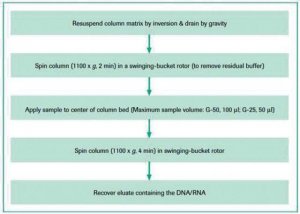 Quick Spin Columns for radiolabeled RNA purification 11274015001
