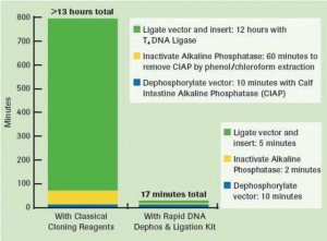 Rapid DNA Dephos & Ligation Kit 