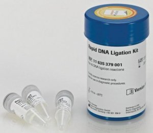 Rapid DNA Ligation Kit 11635379001