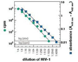 Reverse Transcriptase Assay, colorimetric 11468120910