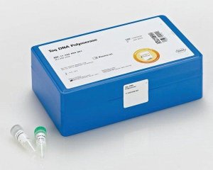 Taq DNA Polymerase, 5 U/l 