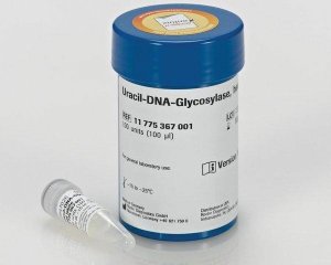 Uracil-DNA Glycosylase, heat-labile 