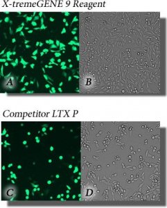 X-tremeGENE 9 DNA Transfection Reagent 