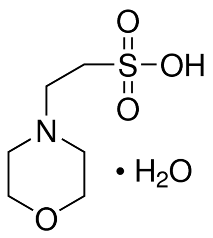 MES monohydrate 