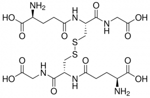 L-Glutathione oxidized 