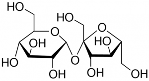 Sucrose 