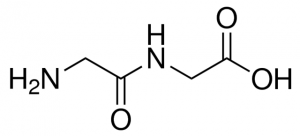 GlycylGlycine G0674-100G
